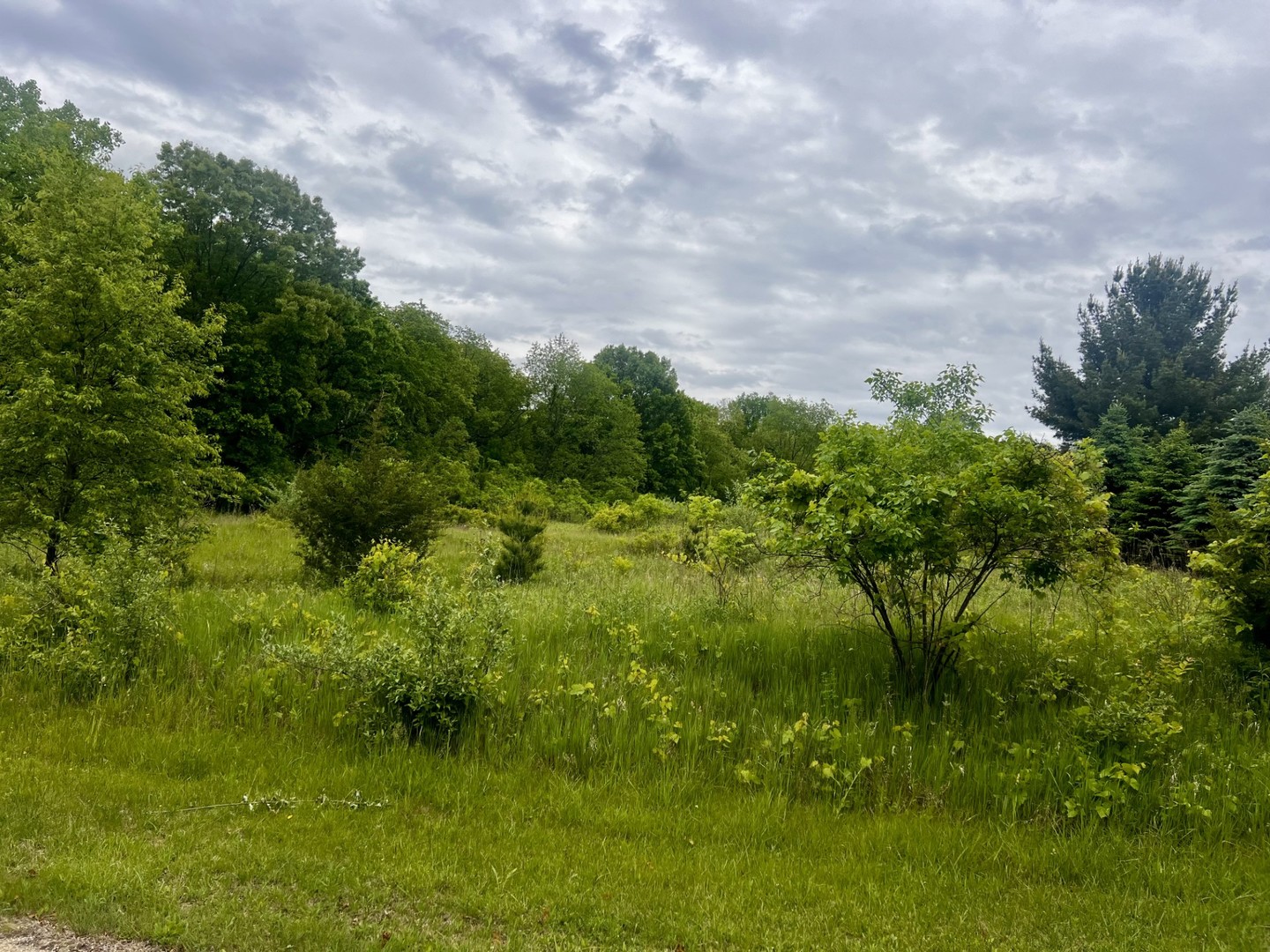 806 Cottonwood Court Property Photo 1