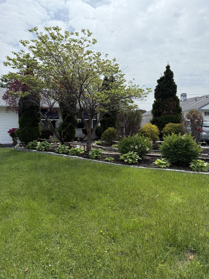 8925 S Komensky Avenue Property Photo 2