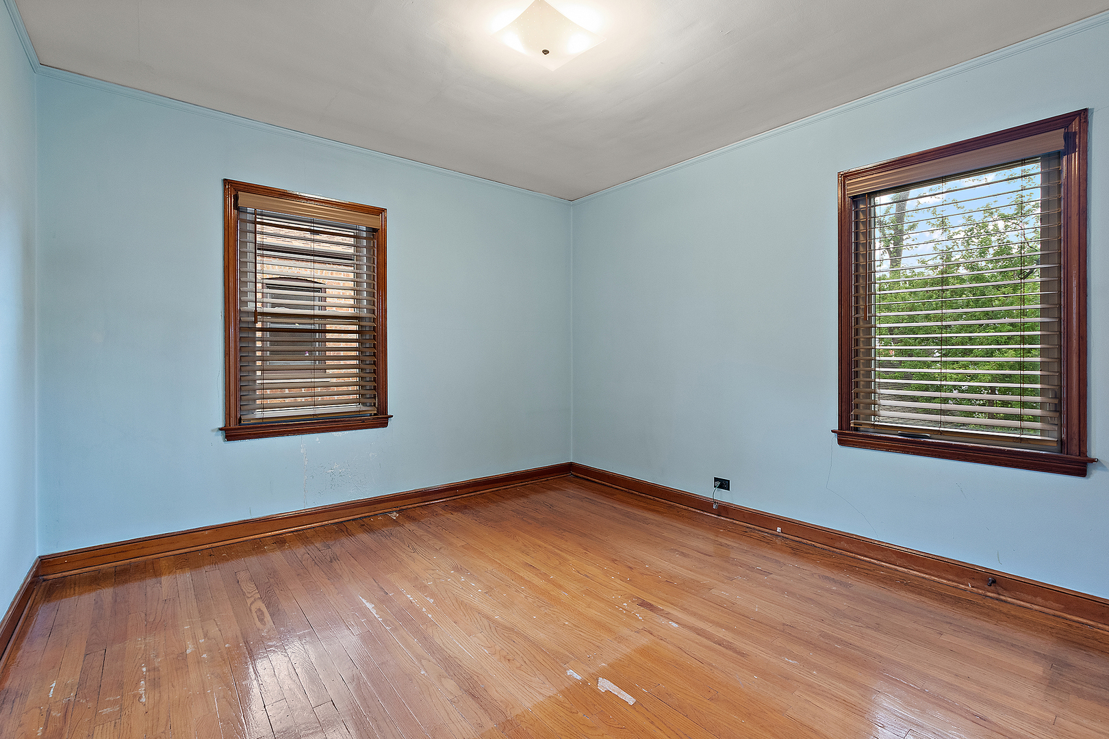 10341 S Trumbull Avenue Property Photo 10
