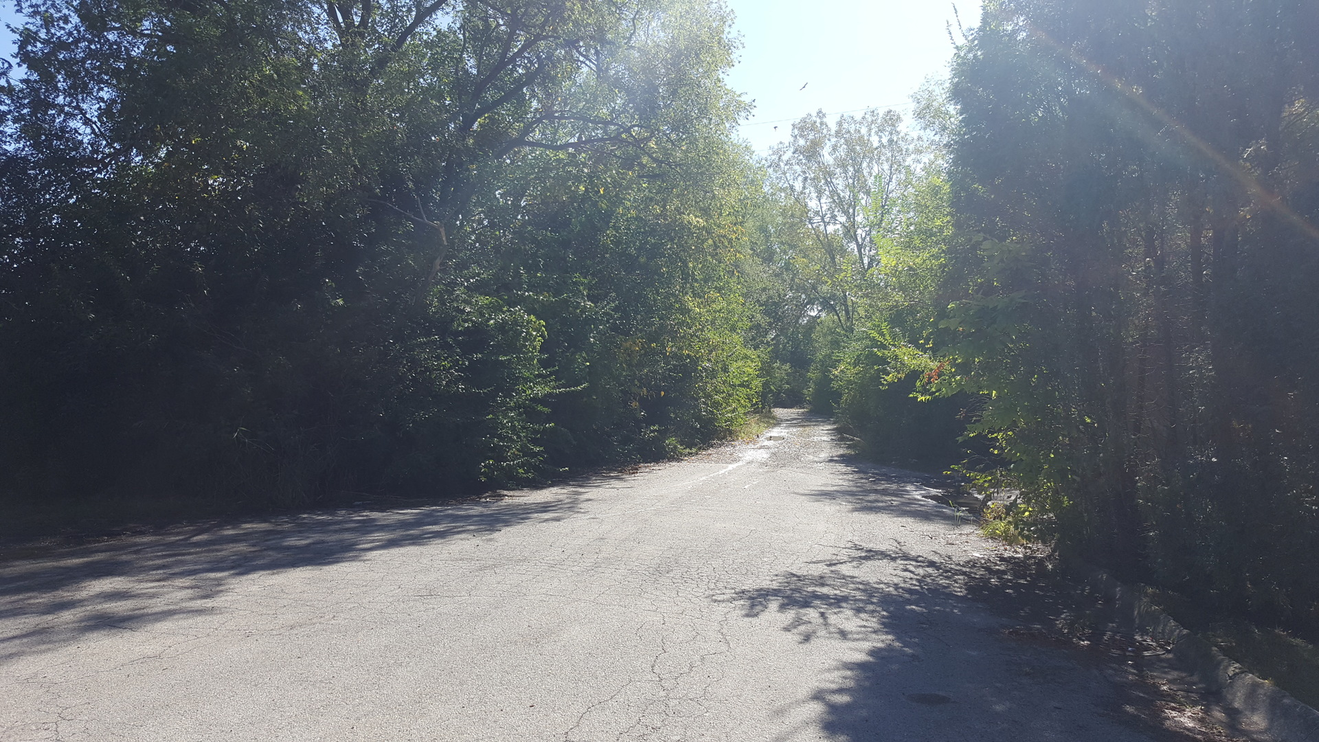 Lot #3 W South End Road Property Photo 14