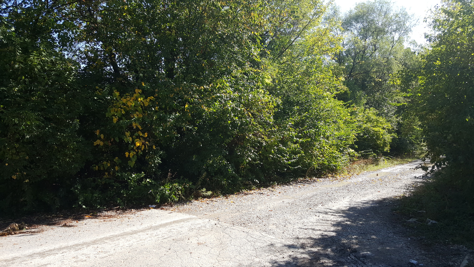 Lot #3 W South End Road Property Photo 16