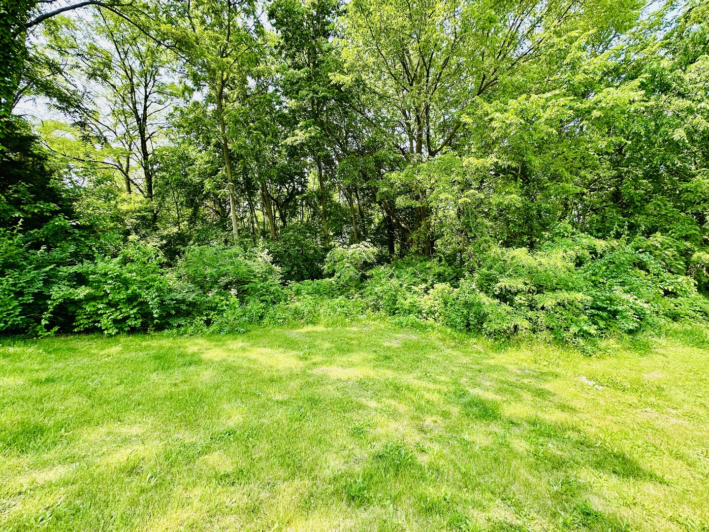 309 Peru Street Property Photo 2