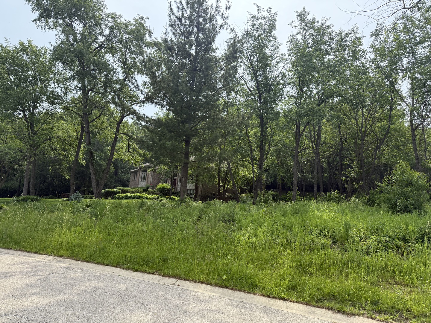 3888 Carlisle Drive Property Photo 11