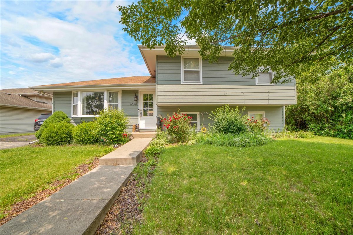 6603 Paul Briese Ct Property Photo 1