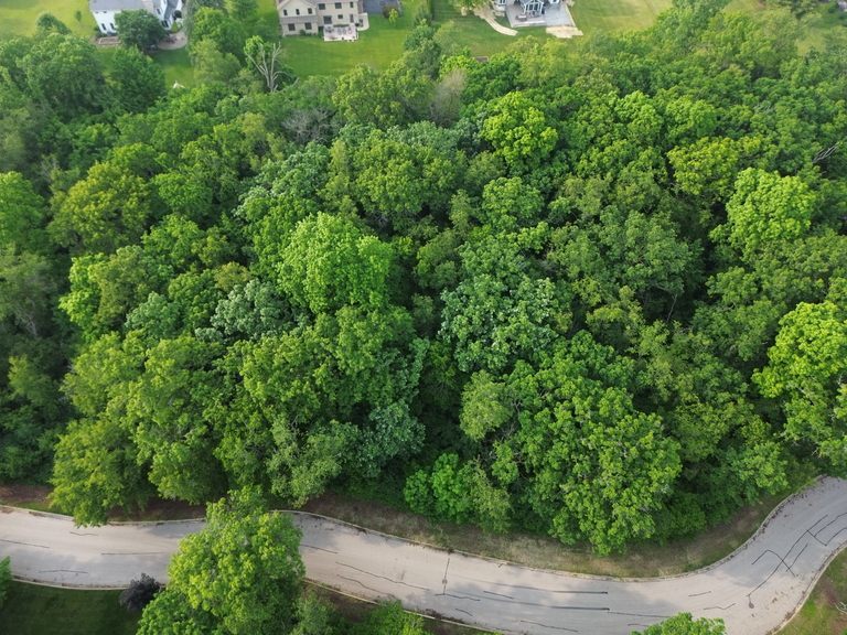 7408 Forest Oak Drive Property Photo 6