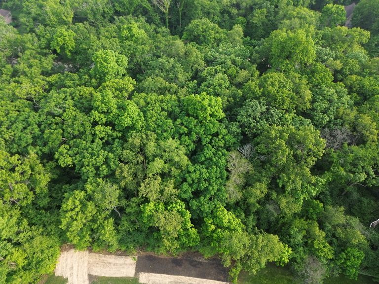 7408 Forest Oak Drive Property Photo 9