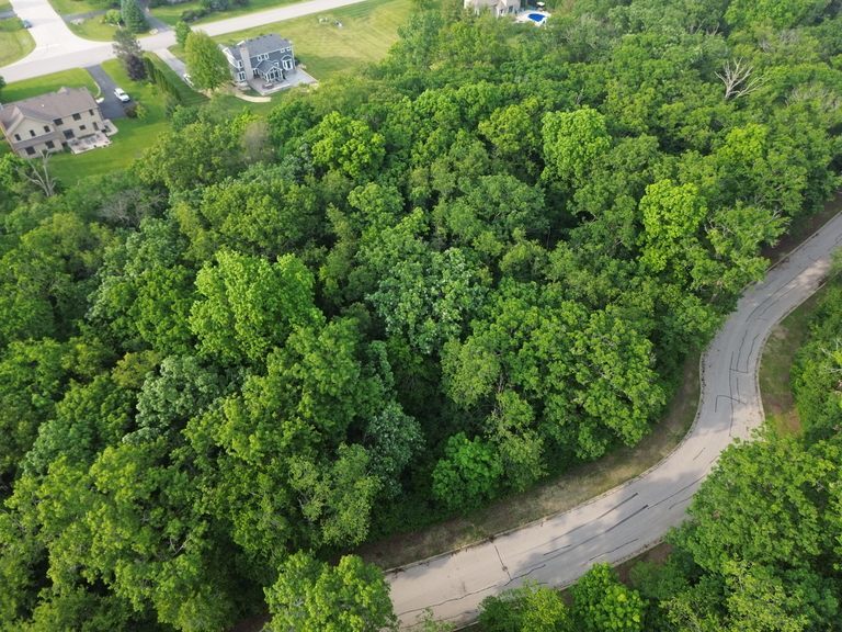 7408 Forest Oak Drive Property Photo 11