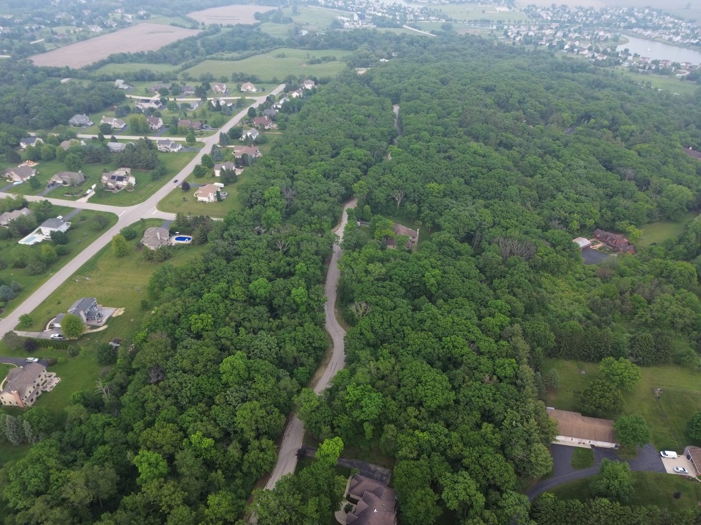 7408 Forest Oak Drive Property Photo 12