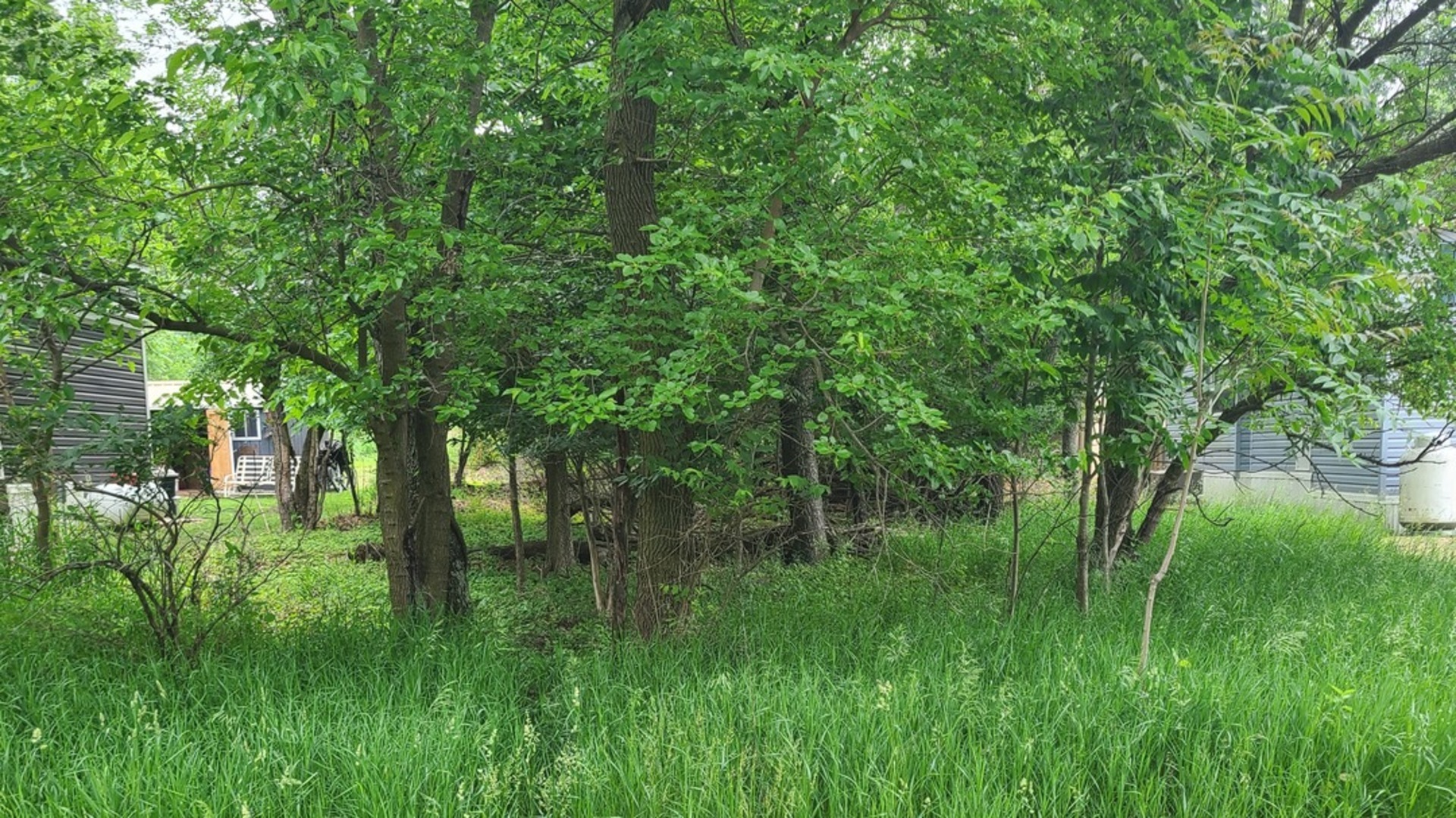 29/225 Woodhaven Property Photo 1