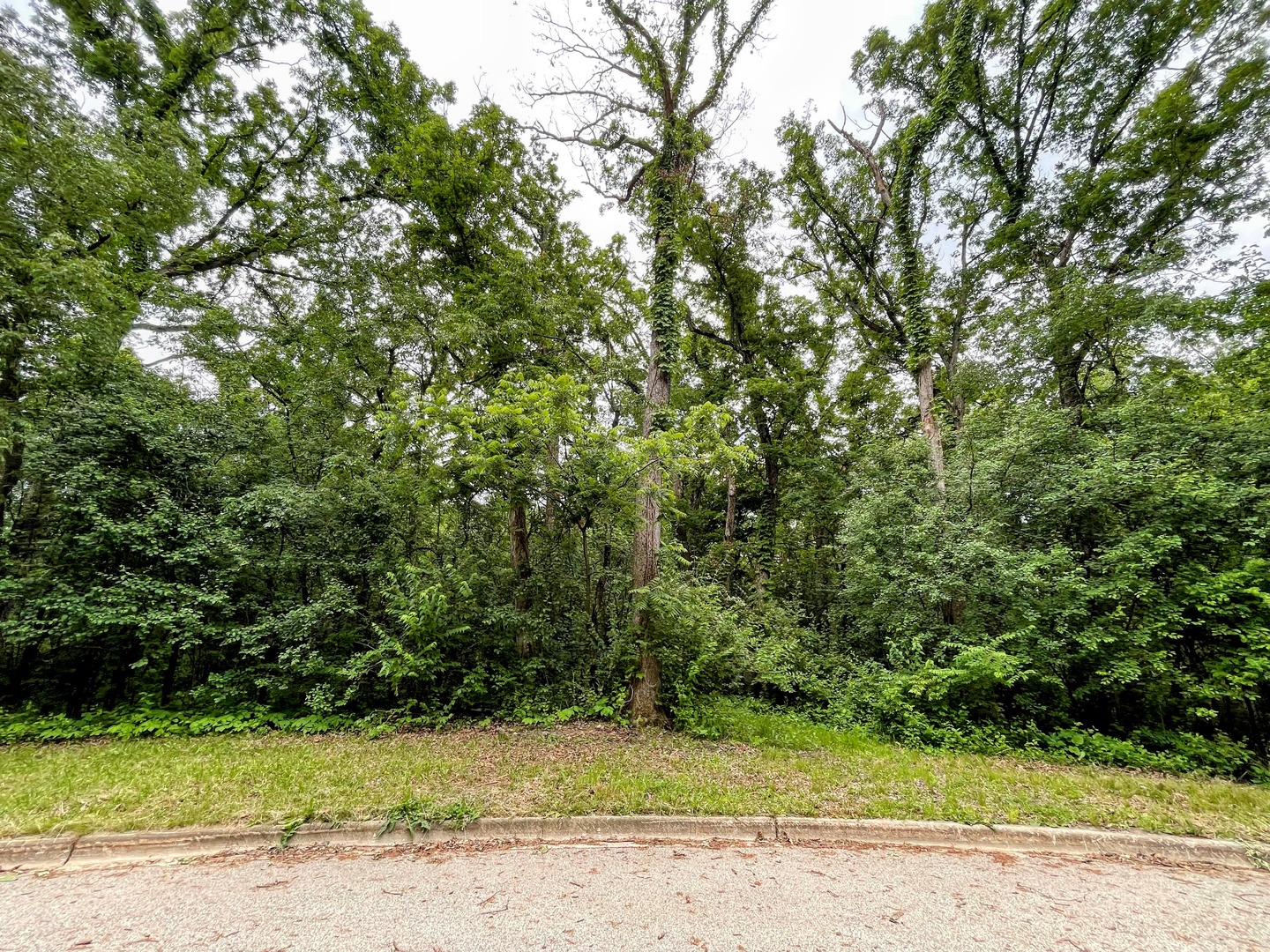 7407 Forest Oak Drive Property Photo 2