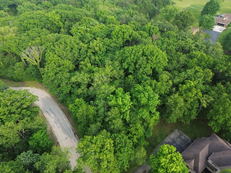 7407 Forest Oak Drive Property Photo 6