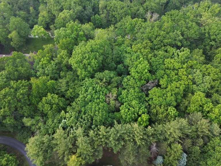 7407 Forest Oak Drive Property Photo 8