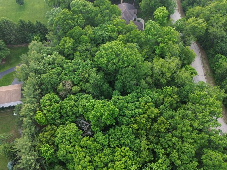 7407 Forest Oak Drive Property Photo 9