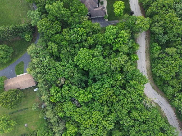 7407 Forest Oak Drive Property Photo 11