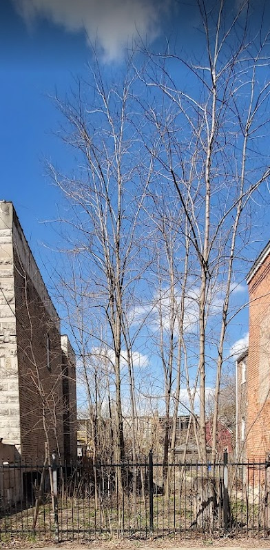 1922 S Christiana Avenue Property Photo 2