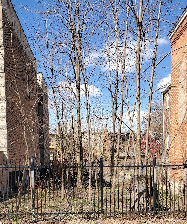 1922 S Christiana Avenue Property Photo 3