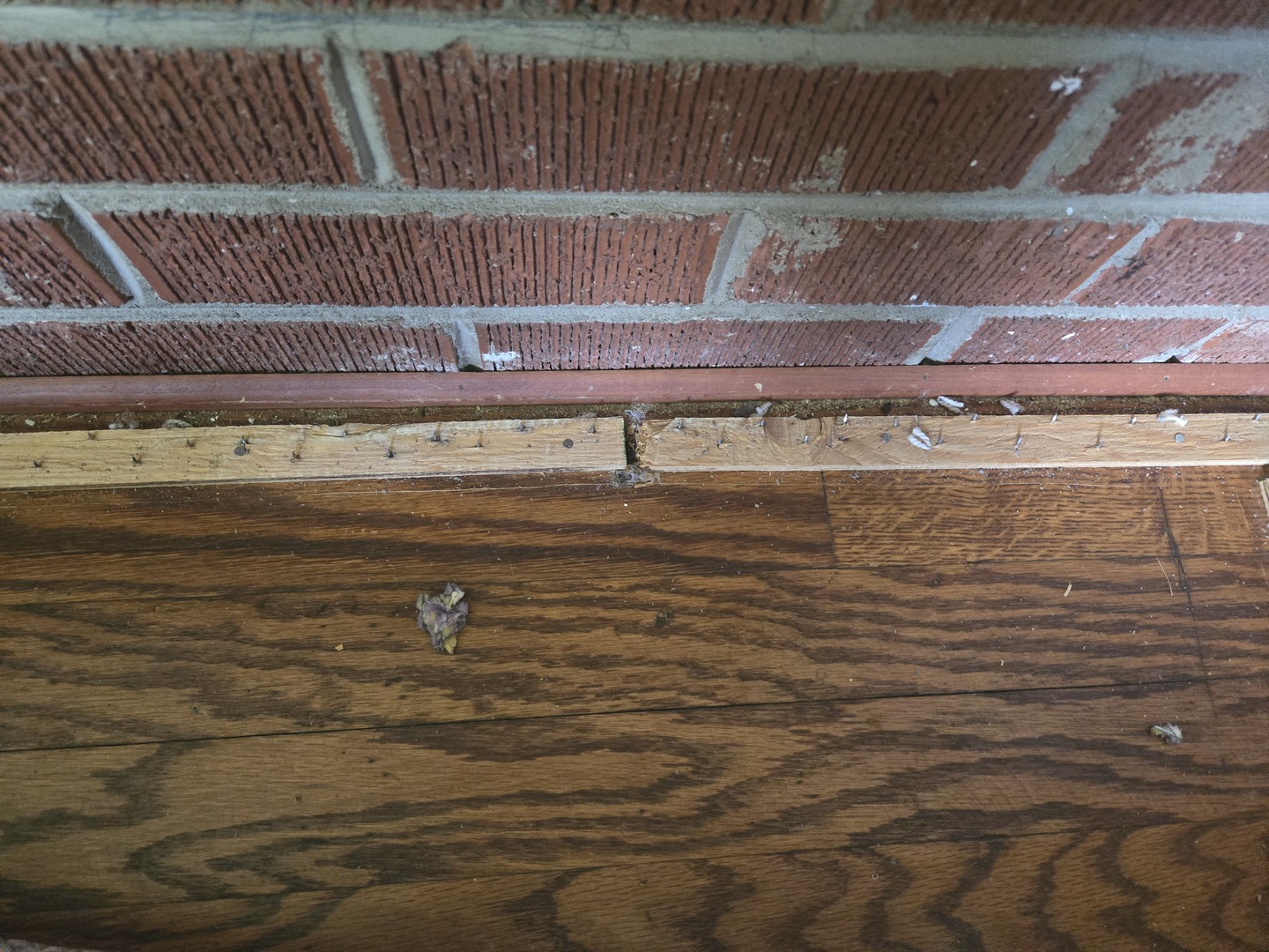 842 Highview Avenue Property Photo 22
