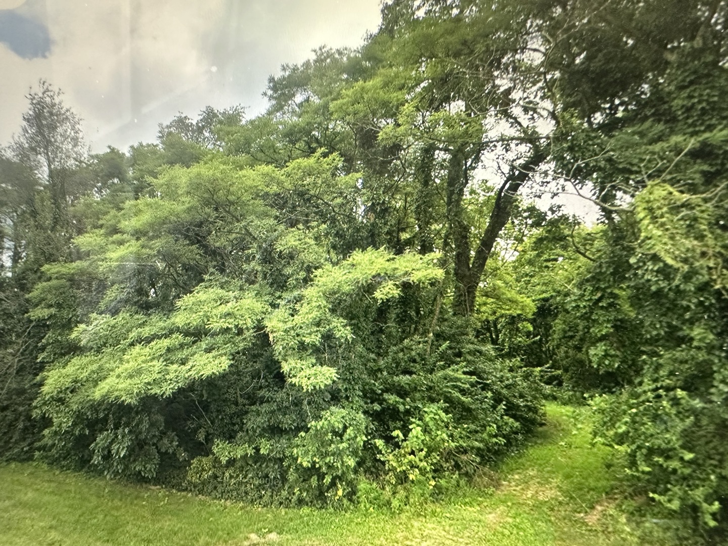 113 Prairie Drive Property Photo 1