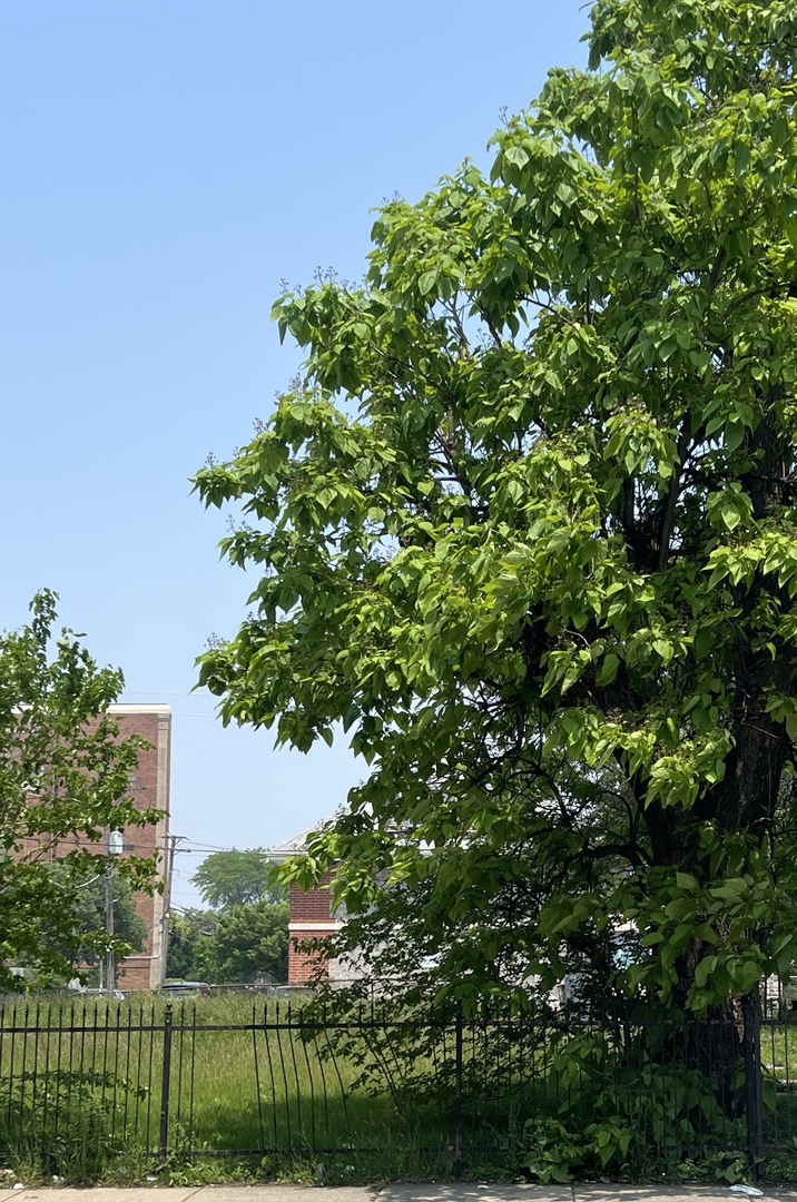 3334 W Warren Boulevard Property Photo 1