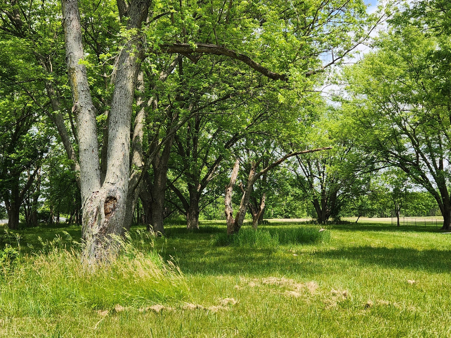 Lot 457/458 Sunnyslope Drive Property Photo 1
