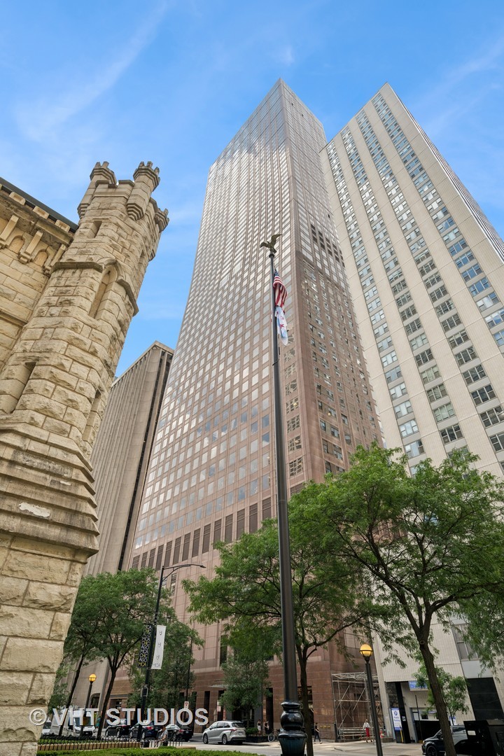161 E Chicago Avenue 53b Property Photo 1