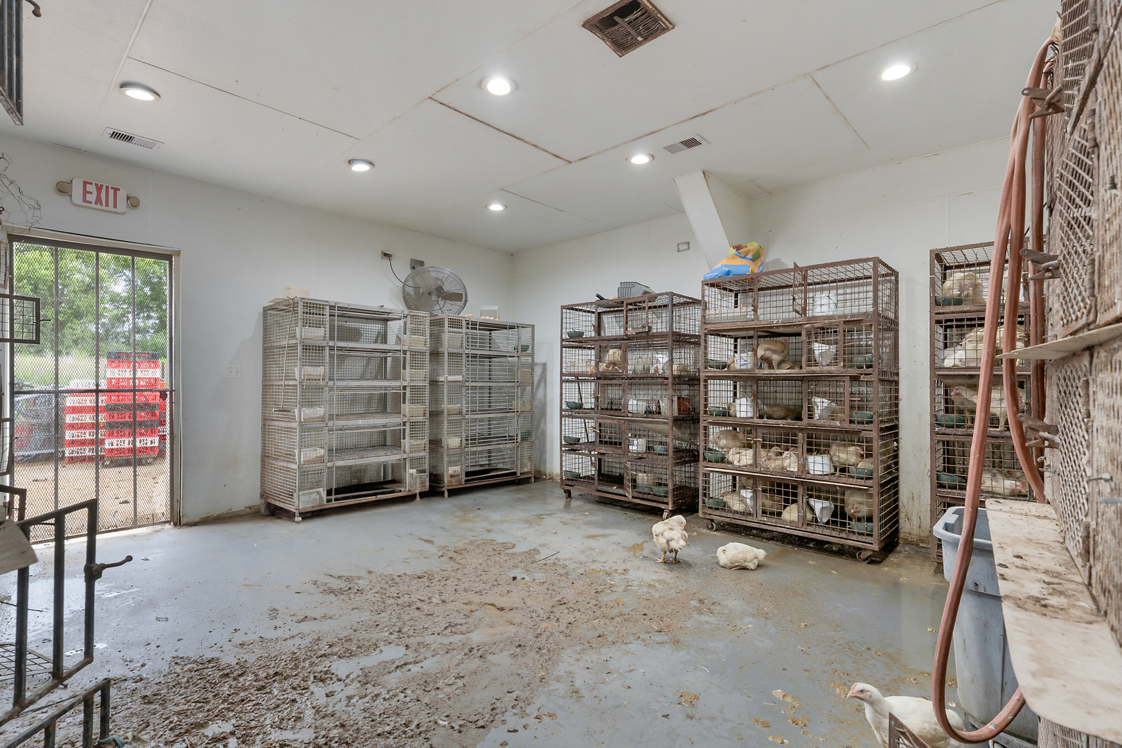 21804 W Grant Highway Property Photo 10
