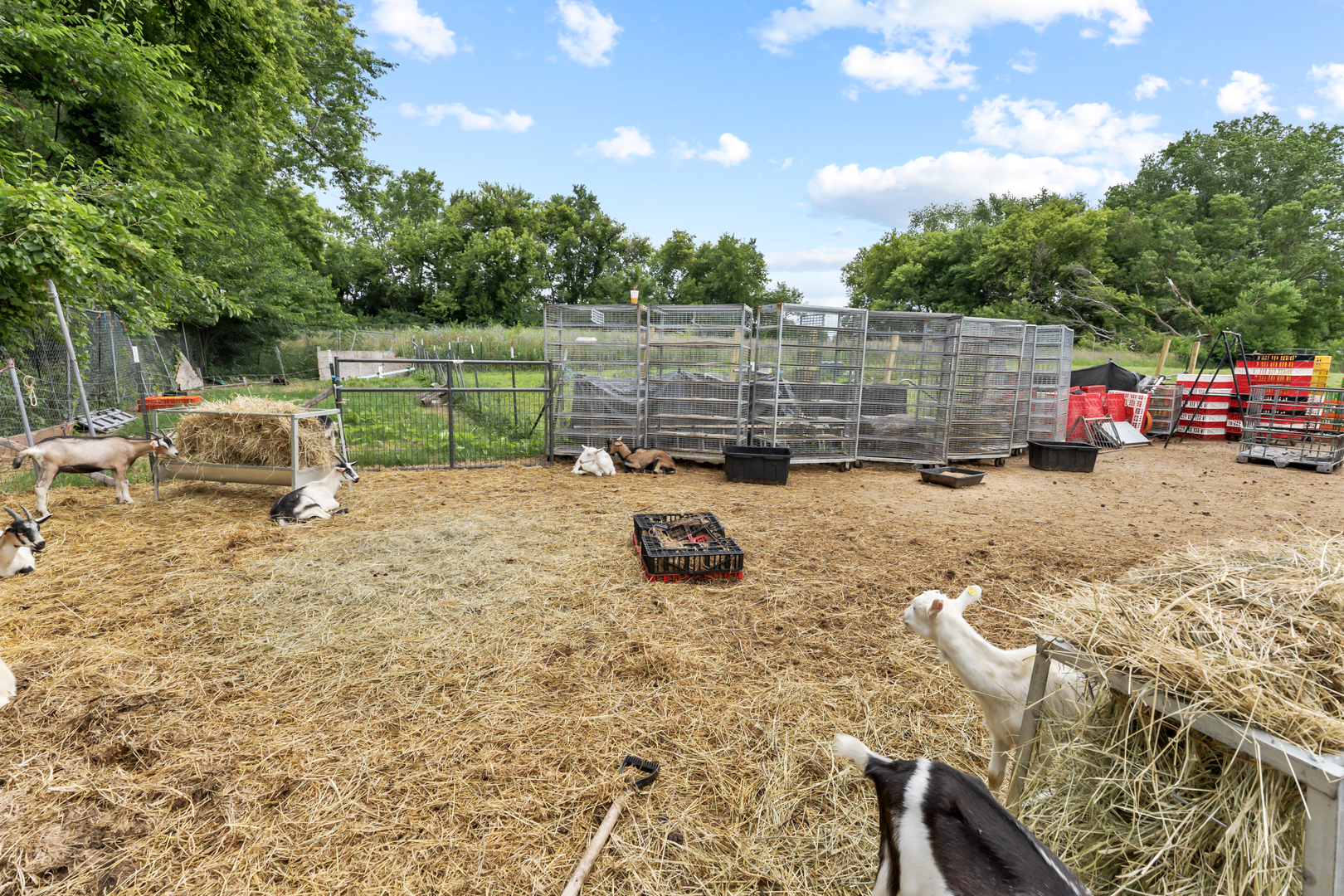 21804 W Grant Highway Property Photo 18