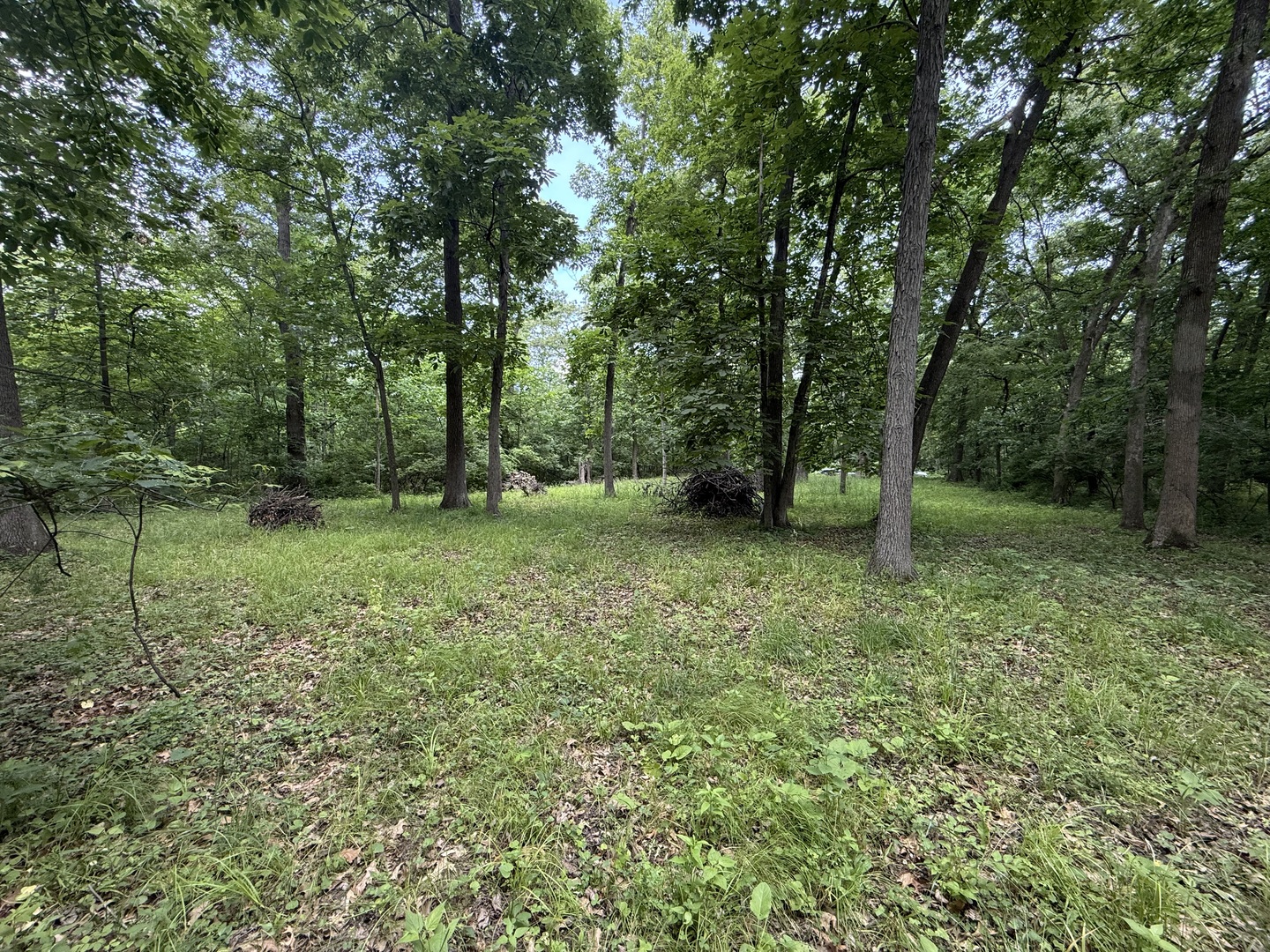 Lot 235 Lake Thunderbird Drive Property Photo 1