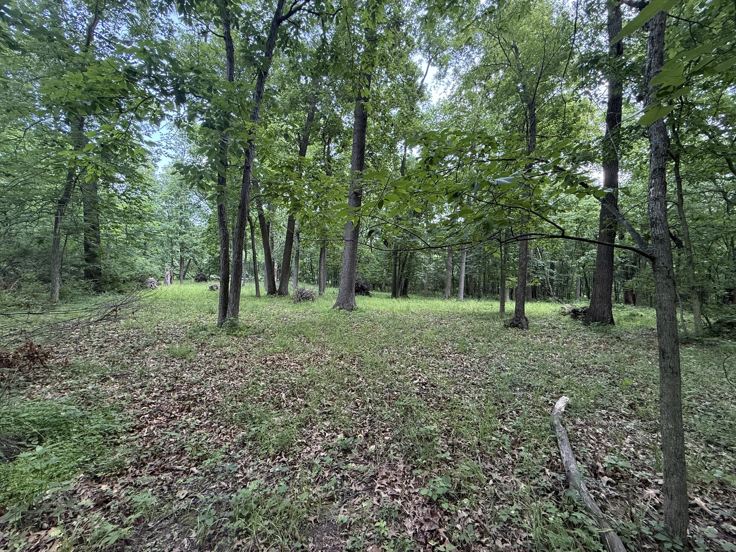 Lot 235 Lake Thunderbird Drive Property Photo 3