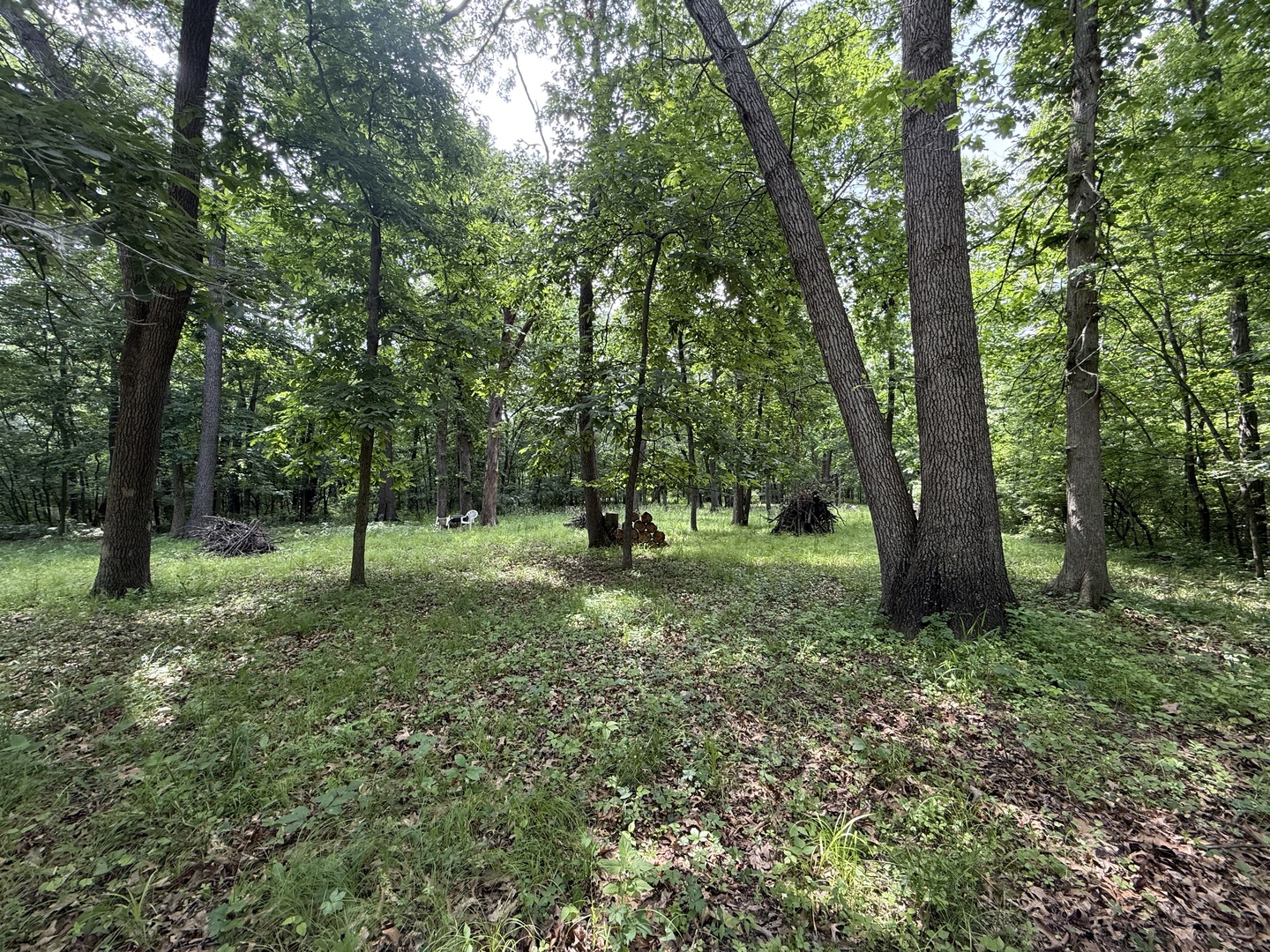 Lot 235 Lake Thunderbird Drive Property Photo 4