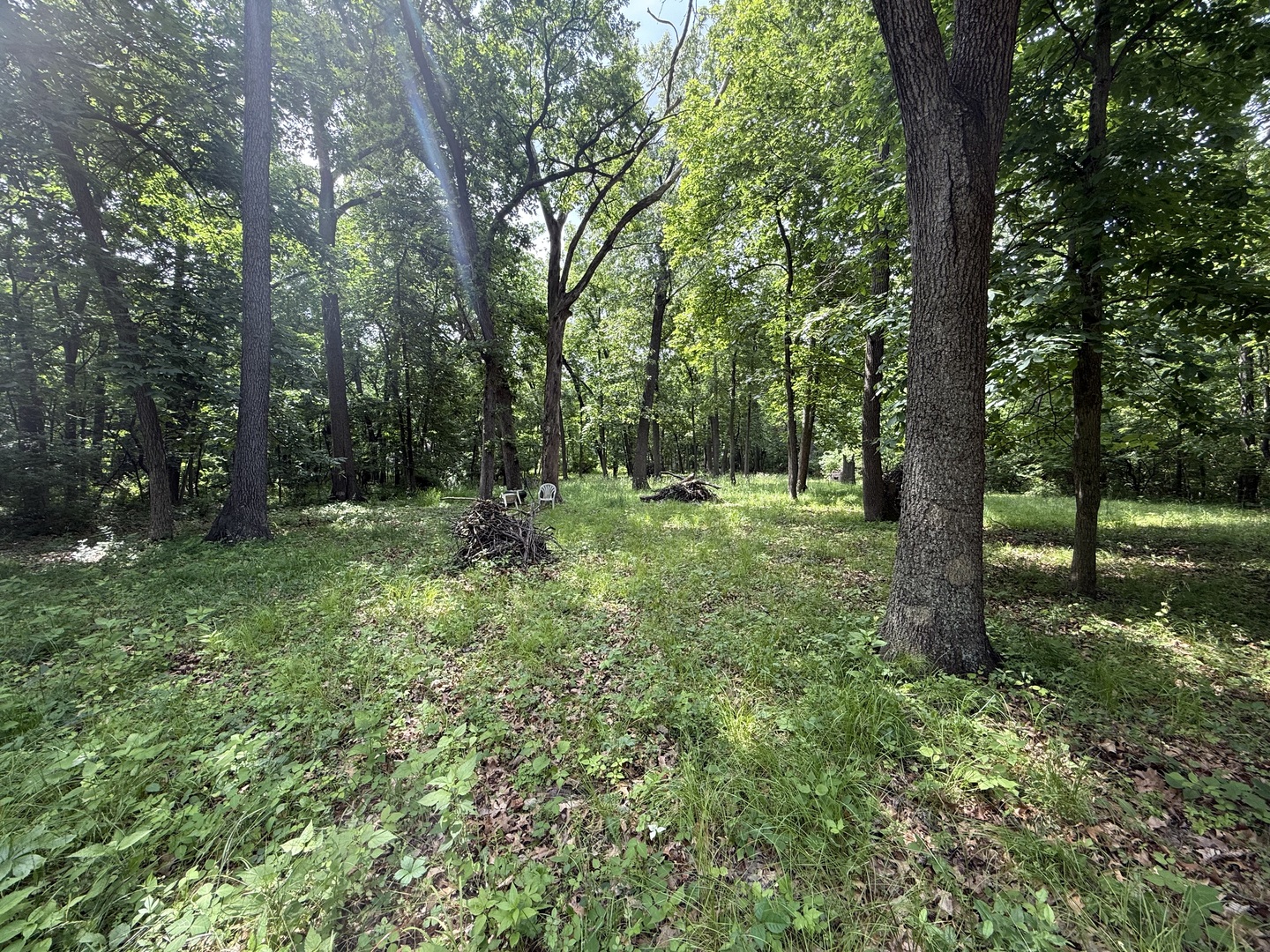 Lot 235 Lake Thunderbird Drive Property Photo 5