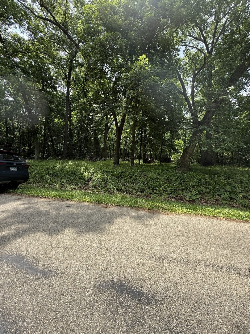 Lot 235 Lake Thunderbird Drive Property Photo 6