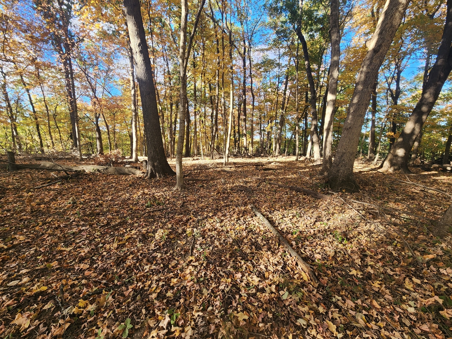 Lot 1783/84 Blueberry Drive Property Photo 1