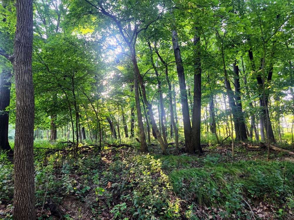 Lot 742 Brookside Drive Property Photo 1
