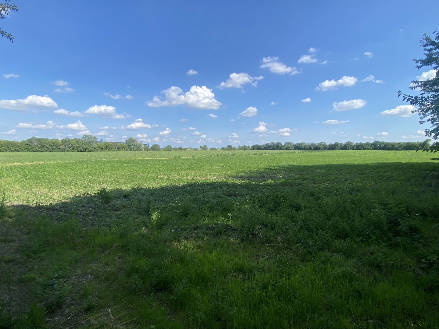 240 Zipf Road Property Photo 2