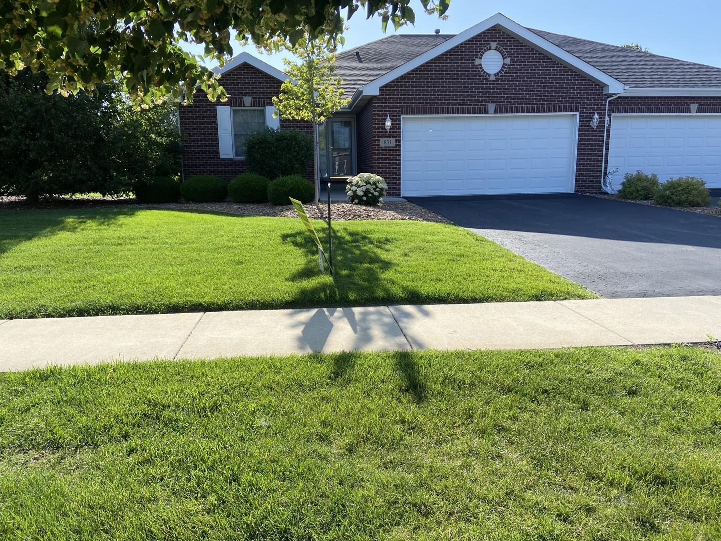 831 Oriole Drive Property Photo 1