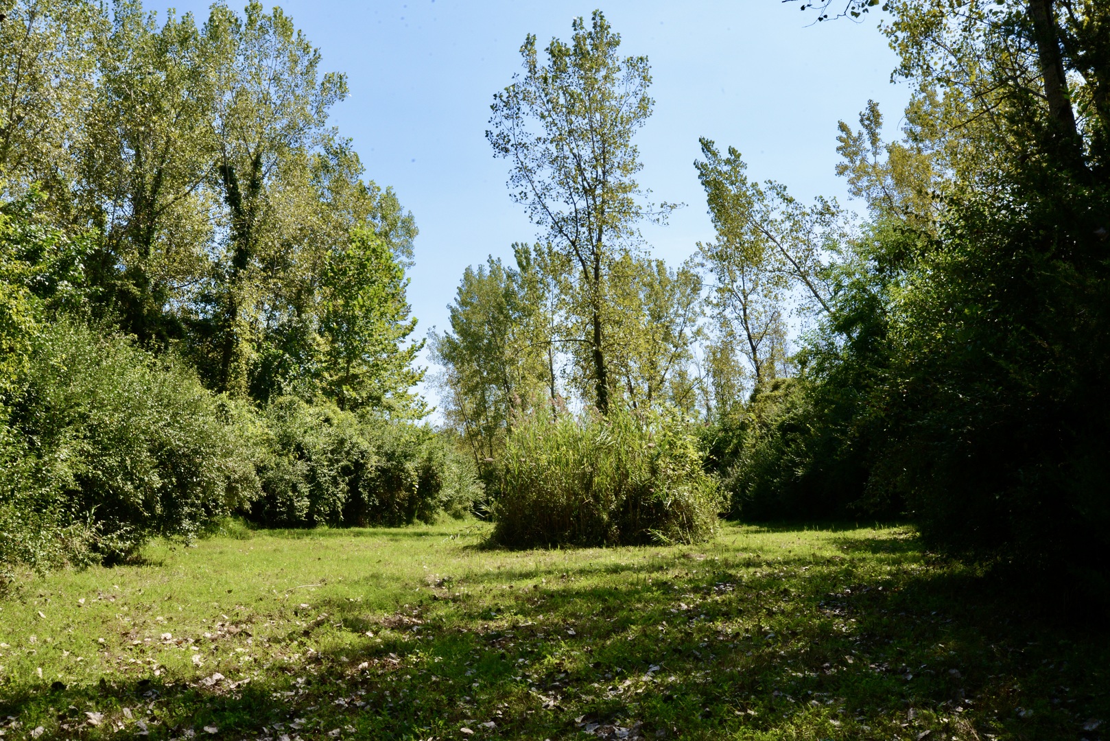 4141 E 2603rd Road Property Photo 43