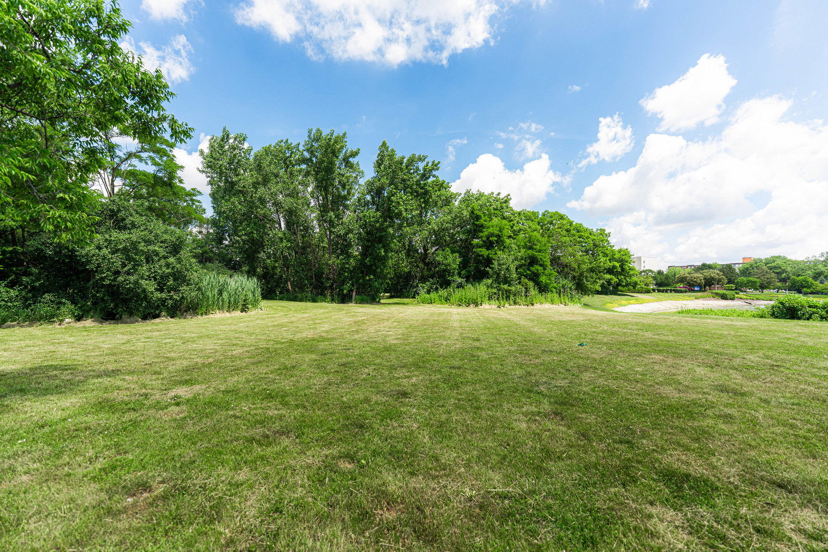 250 St Regis Property Photo 14