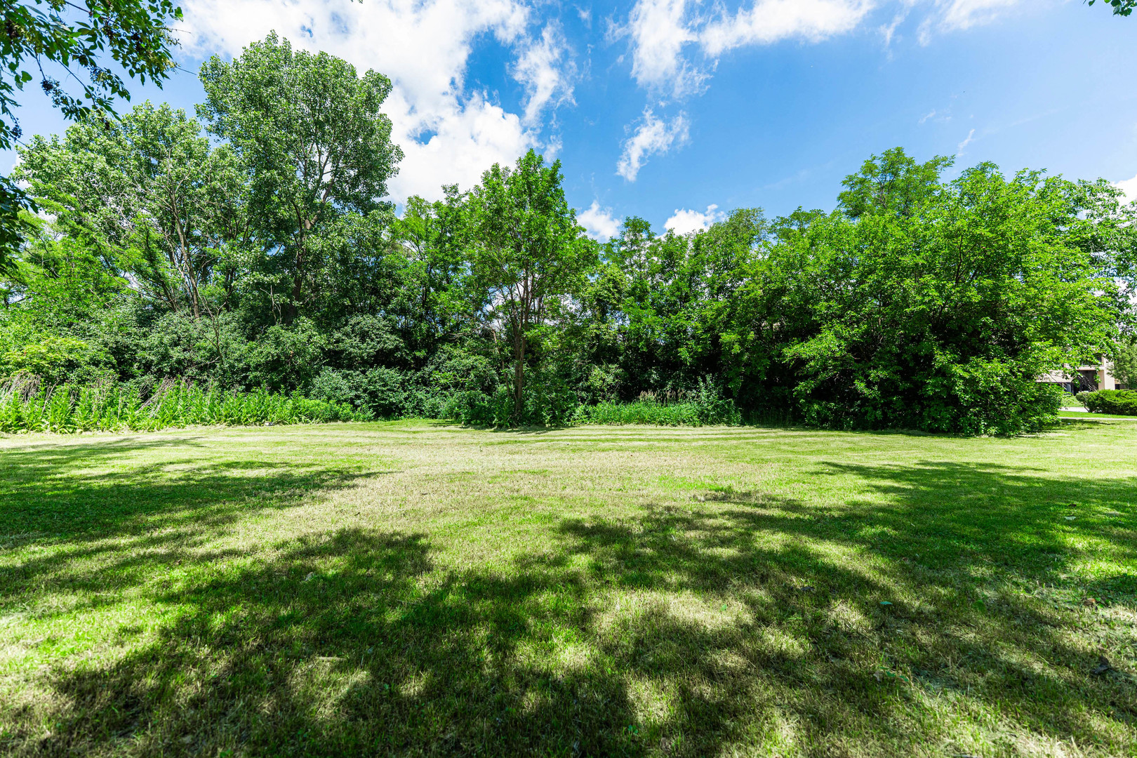 250 St Regis Property Photo 16