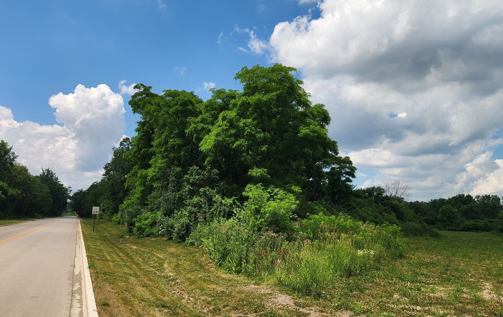 0 Crete Road Property Photo 1