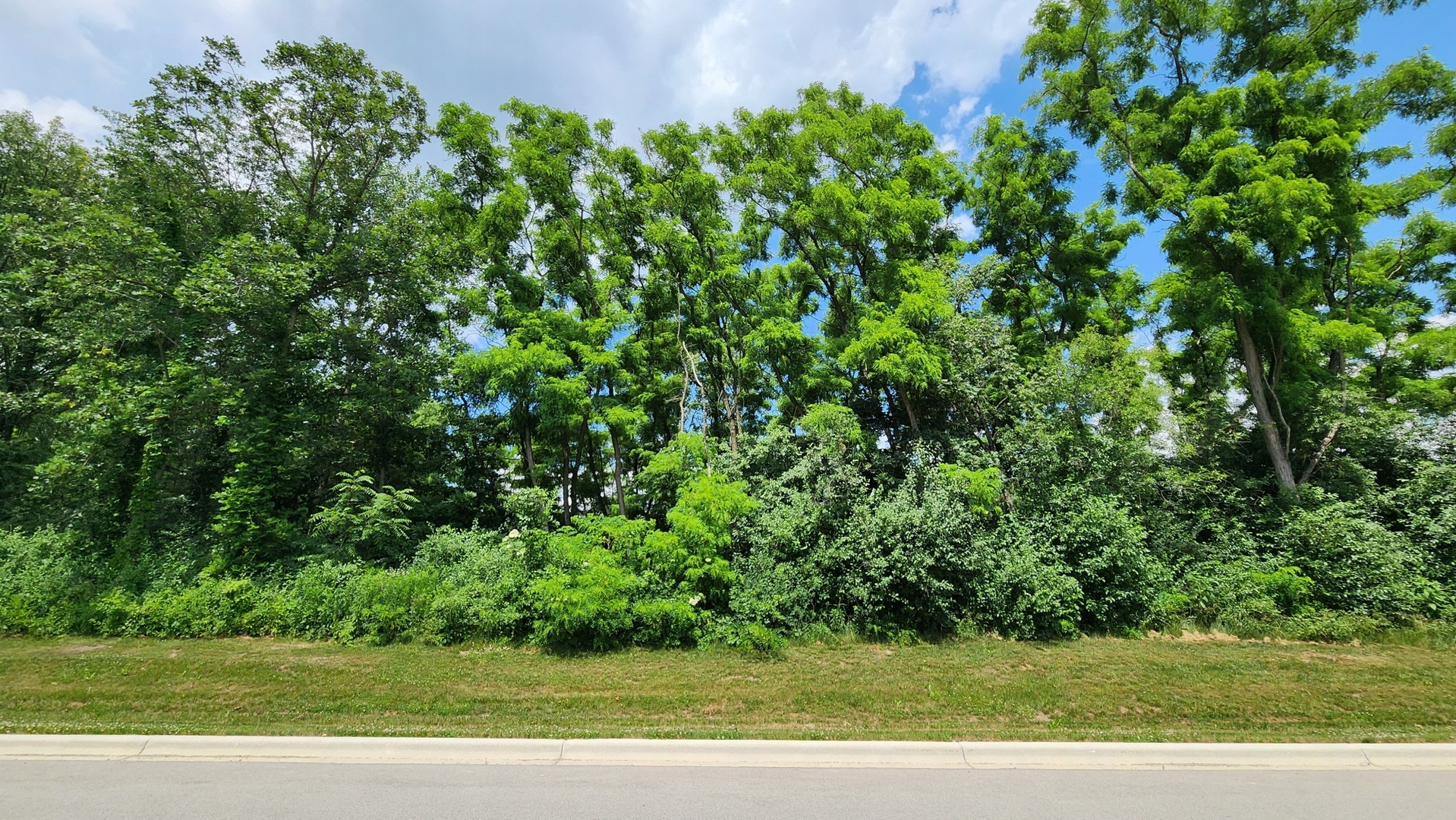 0 Crete Road Property Photo 6