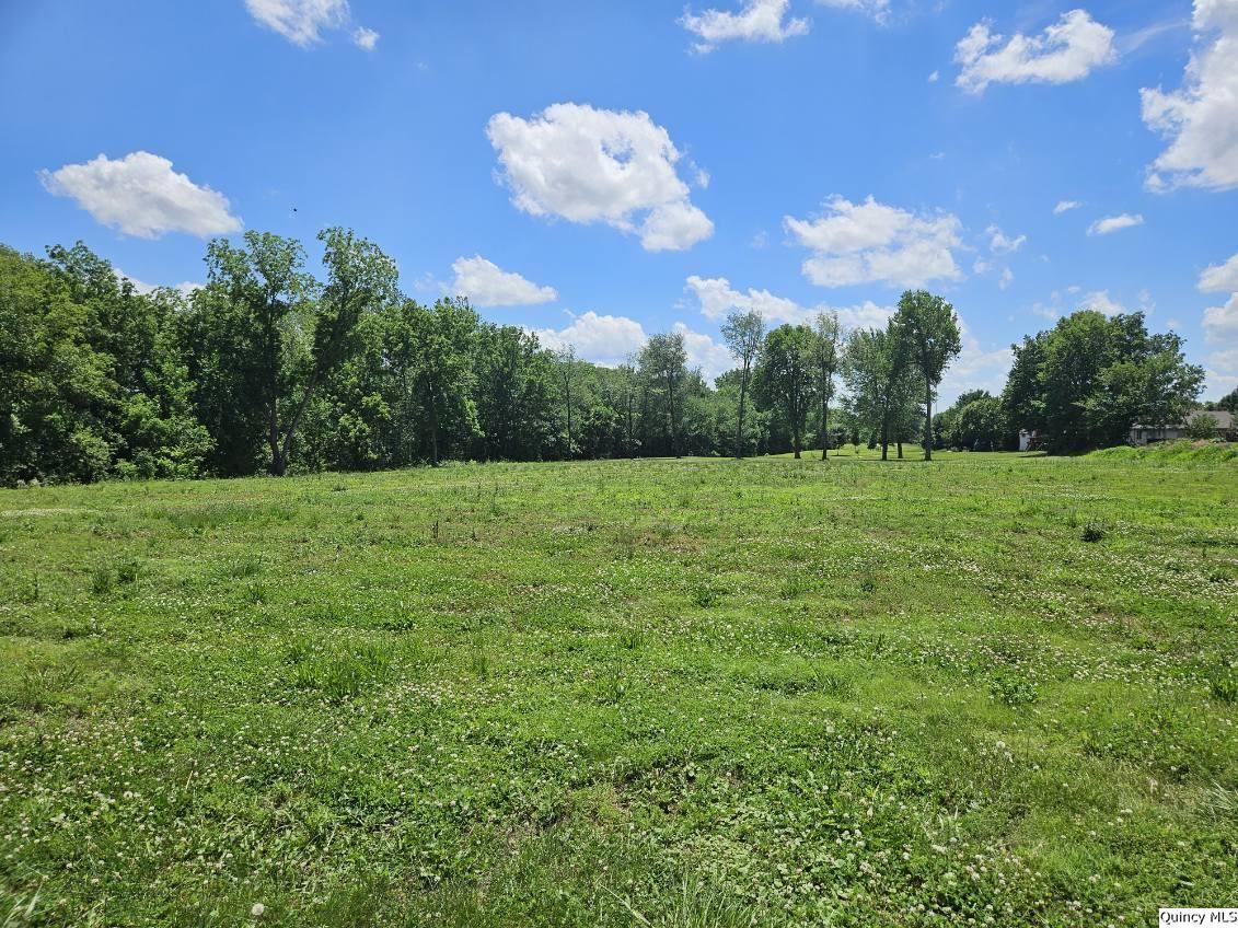 1700 Kochs Lane Property Photo 2