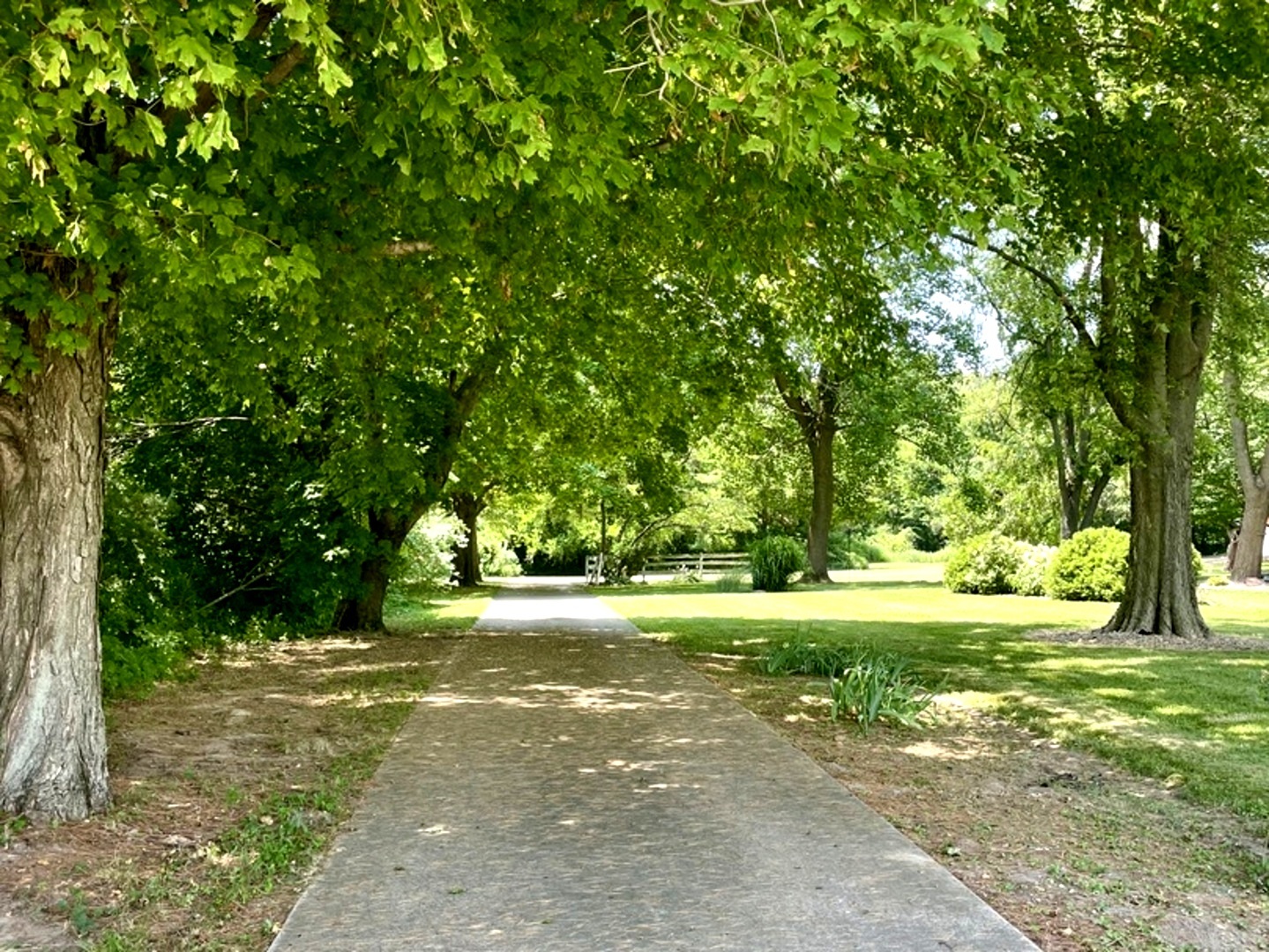 13809 Pine Road Property Photo 2