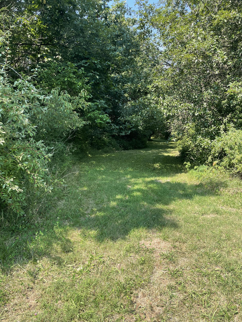 13809 Pine Road Property Photo 38