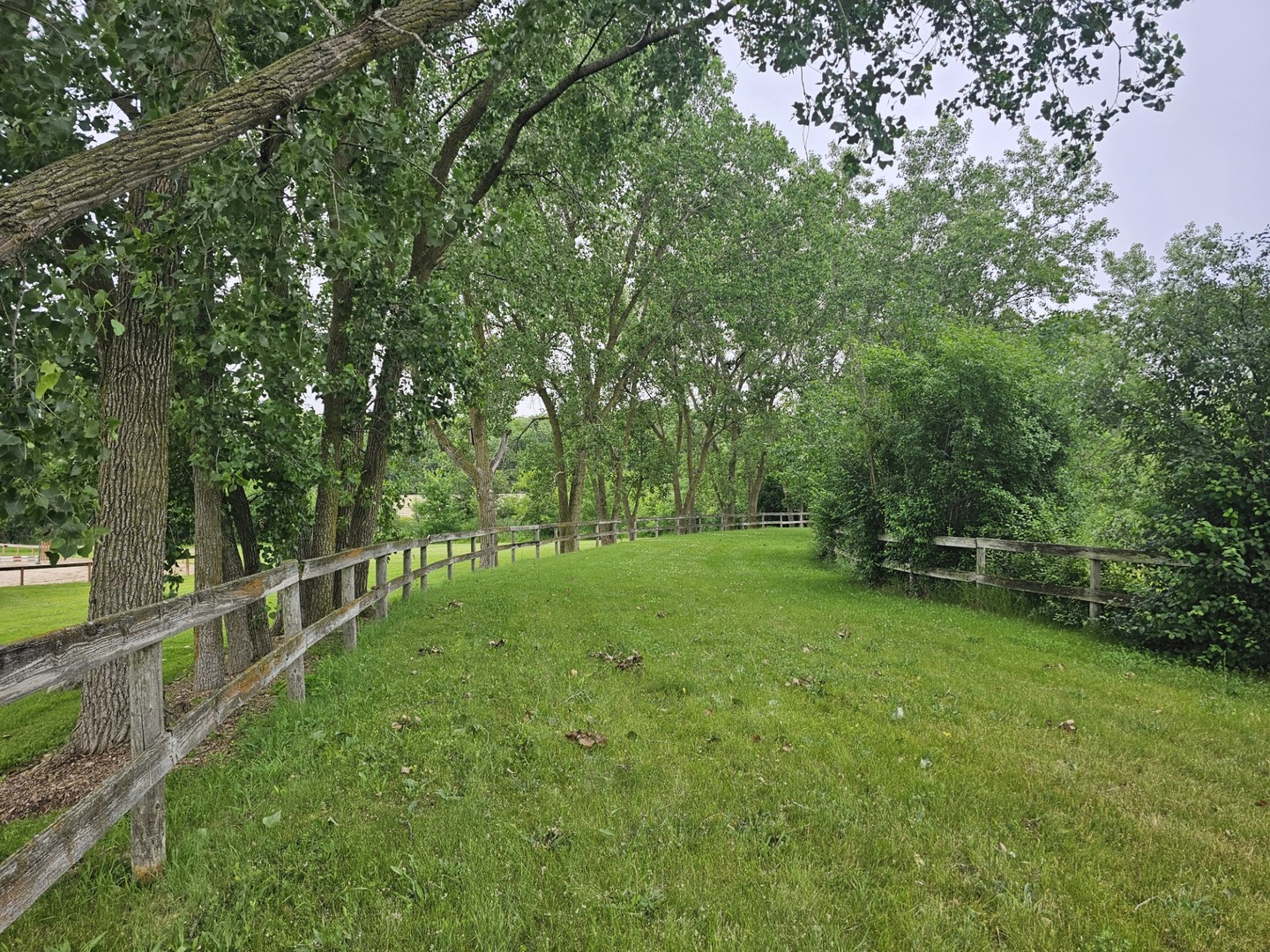 14314 Towne Trail Property Photo 34