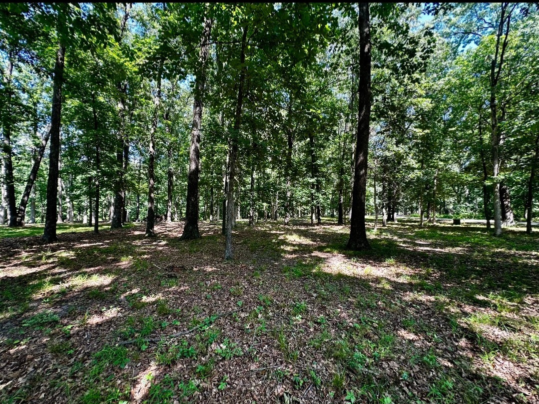 220 Beyers Lake Est