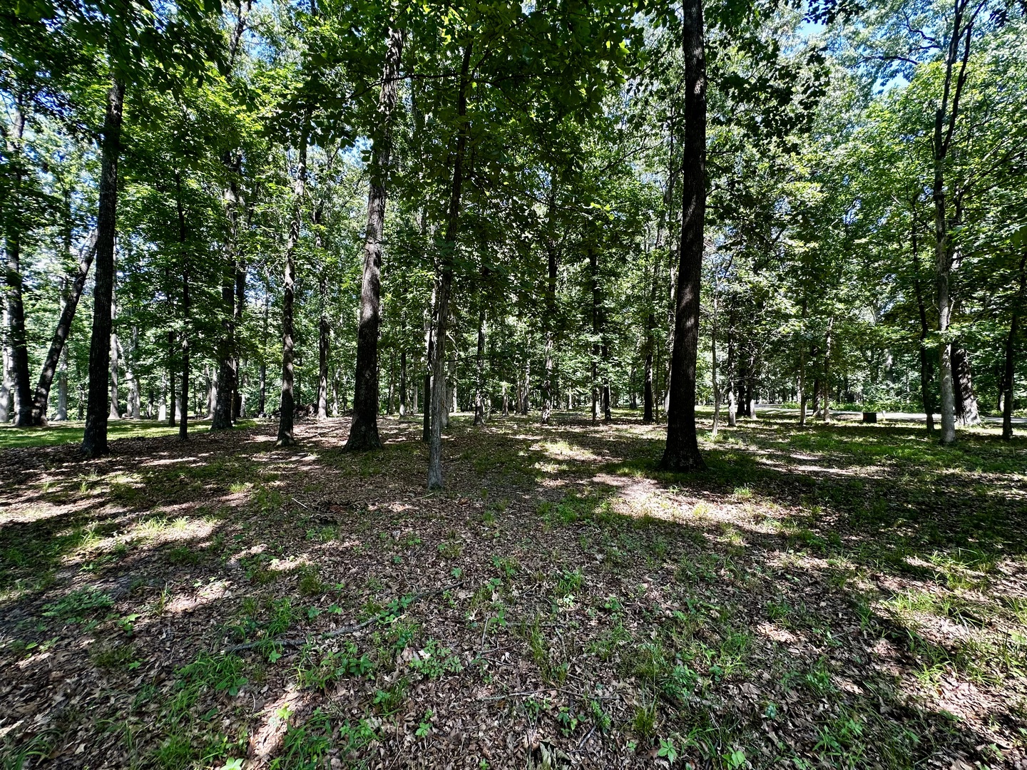 220 Beyers Lake Est Property Photo 4