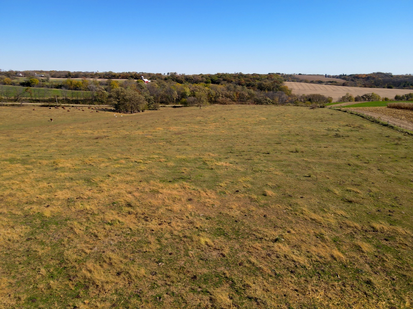 000 Holstein Prairie Road Property Photo 13