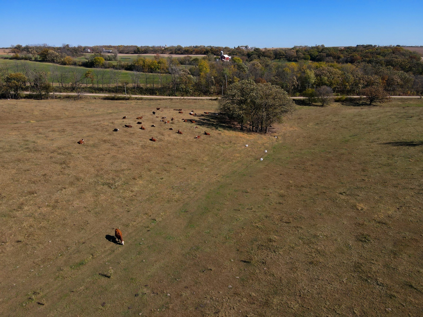 000 Holstein Prairie Road Property Photo 14