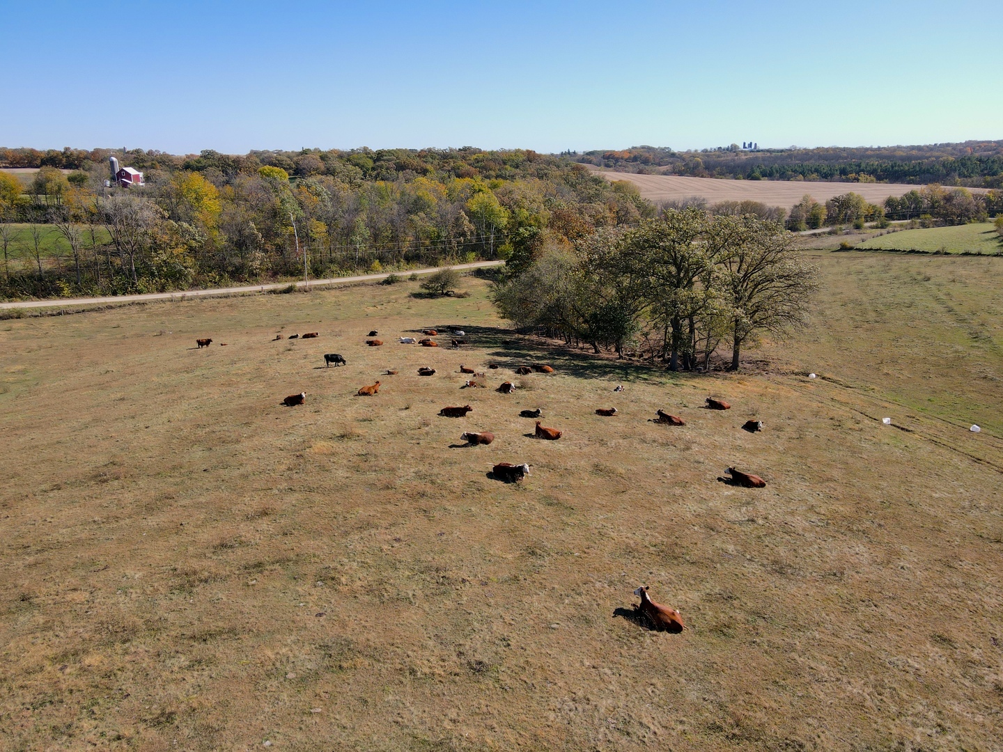 000 Holstein Prairie Road Property Photo 15